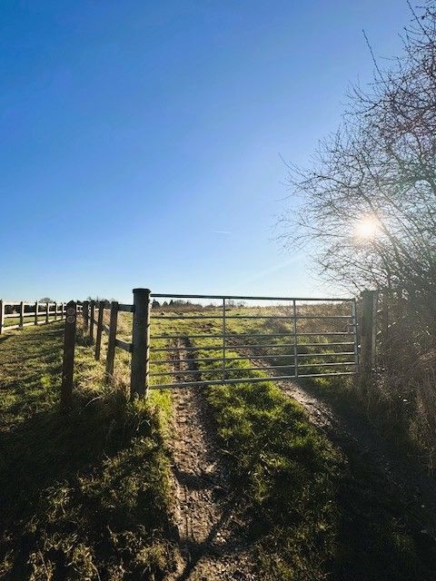 Land for saleOf Kettle Green Lane, Much Hadham SG10