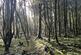 Additional image 4 of Coed Ffordd Pererin, Llanybri SA33