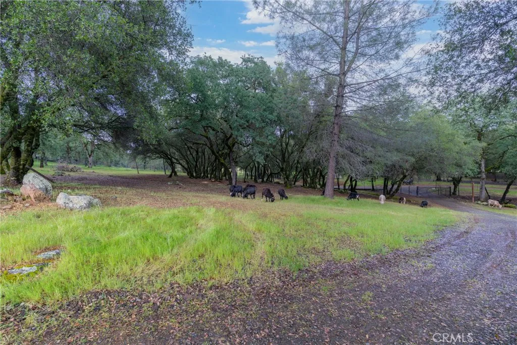 Additional image 51 of 1768 Swedes Flat Road, Bangor, CA 95914