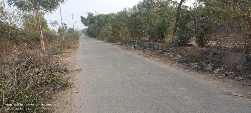 Fatehabad Road, Agra photo 3