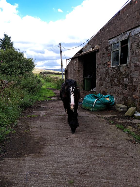 Additional image 41 of 5 bed farmhouse for saleNenthead Road, Alston CA9