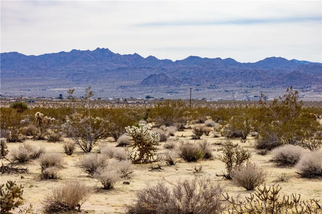 Additional image 45 of Appian Way, Joshua Tree, CA 92252
