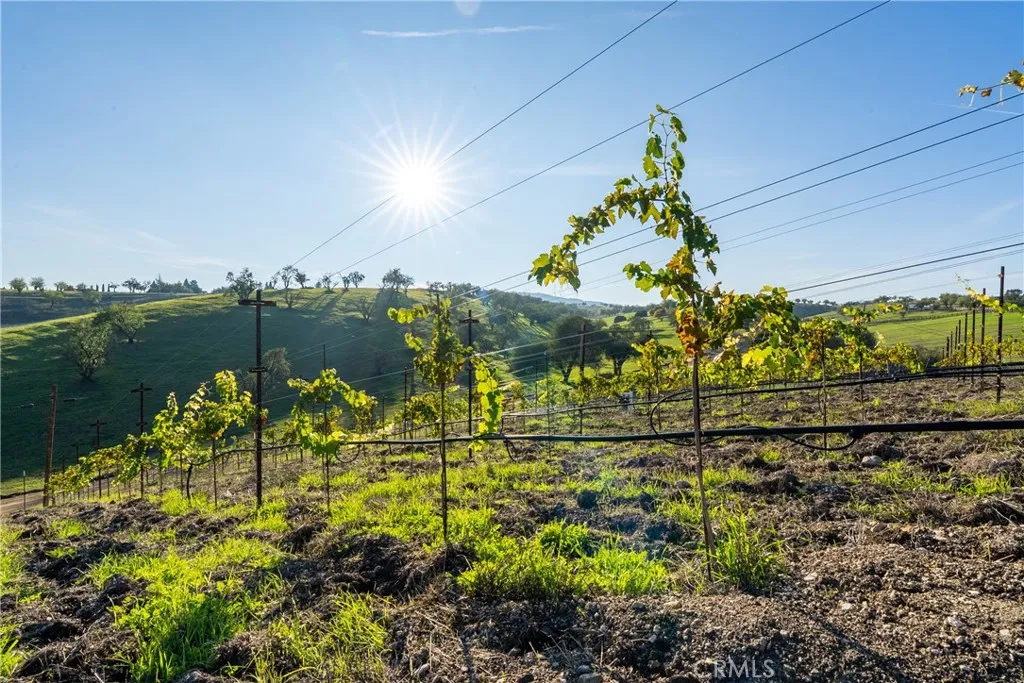 Additional image 21 of 550 Villa Lots Rd, Paso Robles, CA 93446