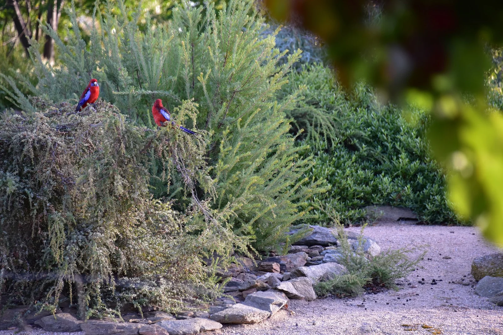 Additional image 9 of 130 Red Gum Lane, Frogmore NSW 2586