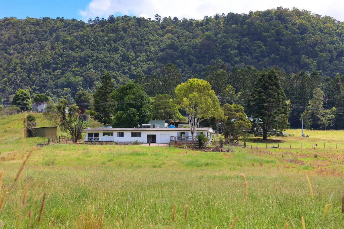 Additional image 13 of 2390a Nerang Murwillumbah Road, Numinbah Valley QLD 4211