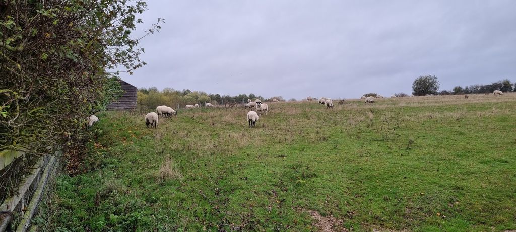Additional image 15 of Land for saleBrackley Road, Buckingham MK18