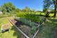 Additional image 30 of Llangybi,  Lampeter, SA48