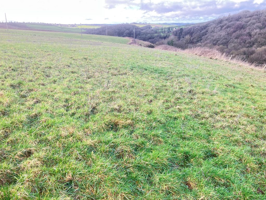 Additional image 2 of Land for saleRoborough, Winkleigh EX19