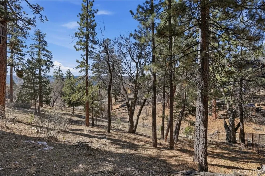 Additional image 24 of 1146 Ridge Rd, Fawnskin, CA 92333