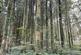 Additional image 5 of Coed Ffordd Pererin, Llanybri SA33