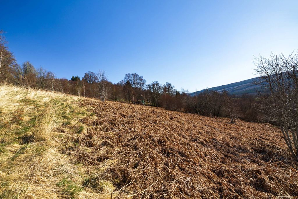 Land for sale95M West Of Eastwood, Balnain, Drumnadrochit IV63