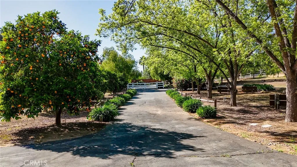 Additional image 48 of 6731 Via De La Reina, Bonsall, CA 92003