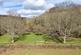 Additional image 27 of Pontsioni, BUILTH WELLS LD2