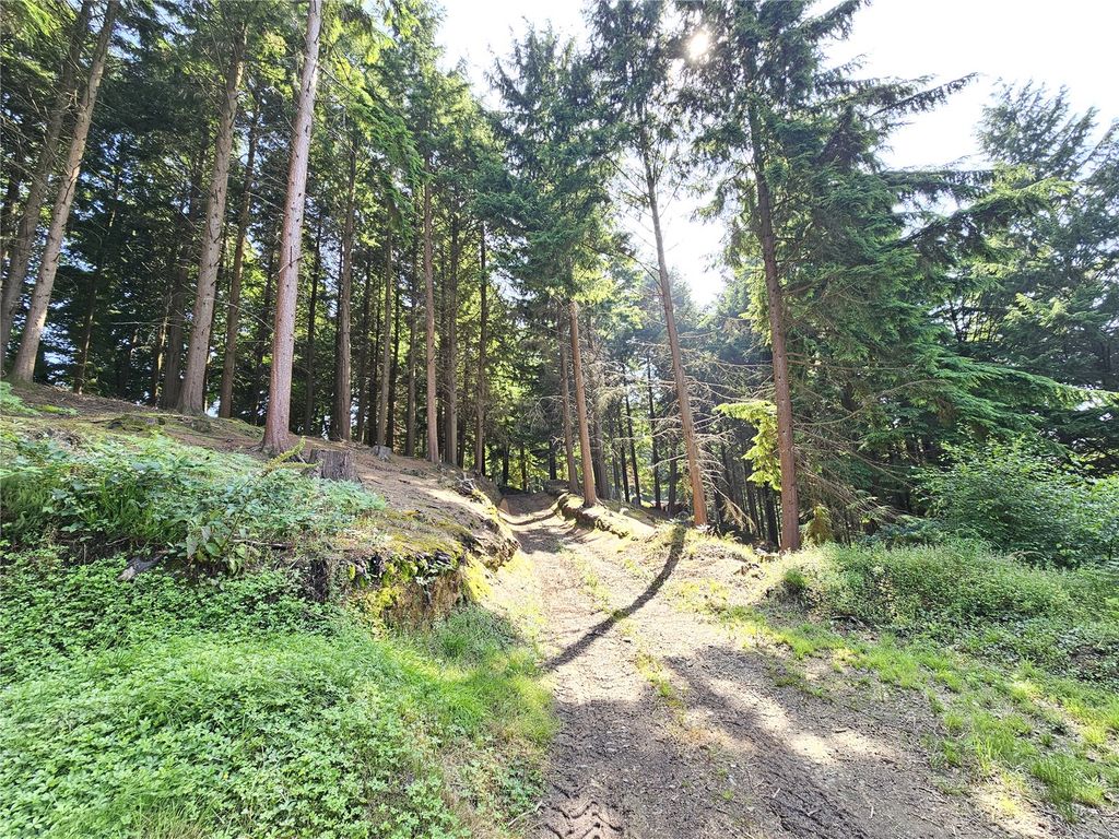 Land for saleCaddywell Lane, Torrington, Devon EX38 photo 4