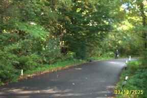 Additional image 4 of Land for saleFisher Lane, Godalming GU8