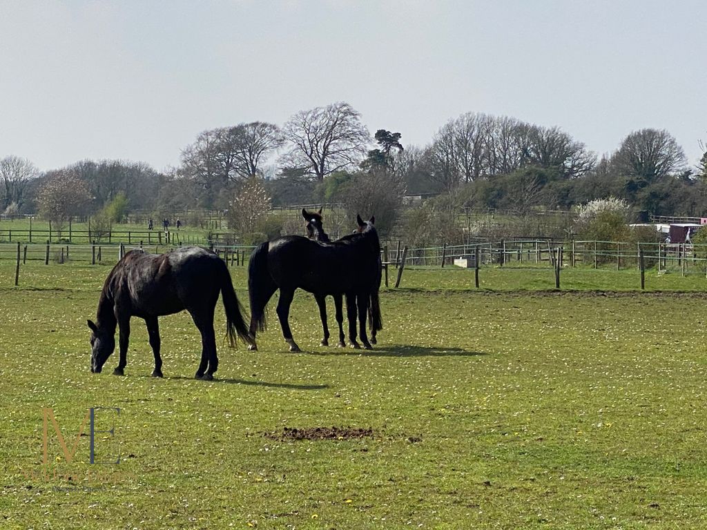 Additional image 13 of Land for salePlot C, Round Street, Cobham, Kent DA13