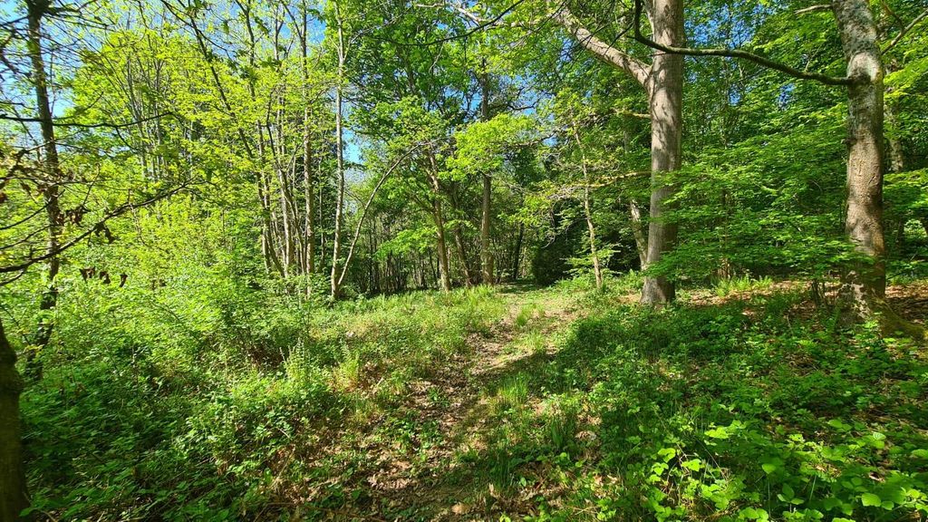 Additional image 7 of Land for saleFarley Heath, Albury, Guildford GU5
