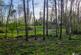 Additional image 24 of The Cobbles, Lower Peover, WA16