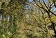 Additional image 3 of Coed Ffordd Pererin, Llanybri SA33