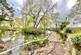 Lockley Wood, Market Drayton, TF9 photo 4