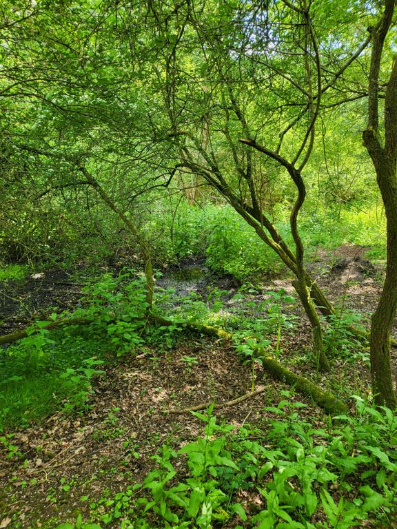 Additional image 7 of Land for saleStan Hill, Horley RH6