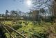 Additional image 20 of Nr Wimborne, Dorset - 3.6 Acres