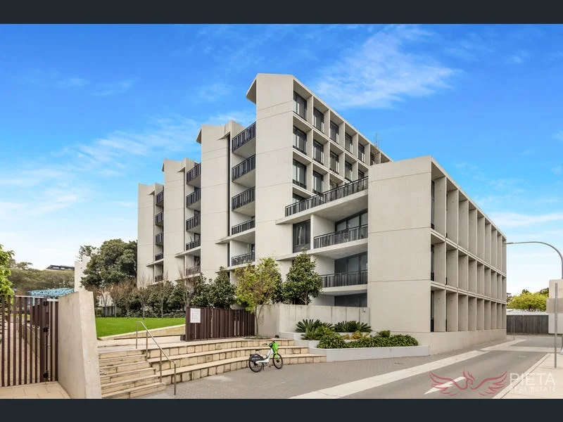 503/8 Yarraman Avenue, Randwick NSW 2031