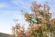 Additional image 18 of Croydon, London SE25