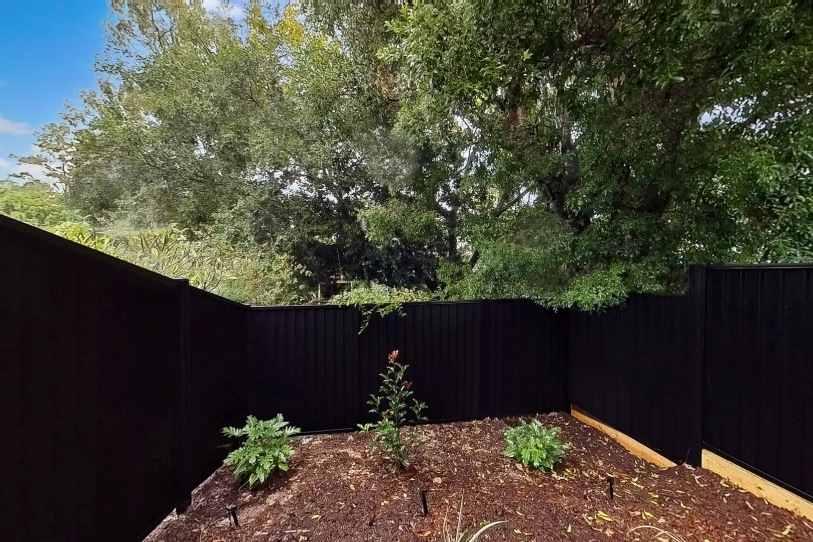 Additional image 5 of 4/29 Bovey St, Coopers Plains QLD 4108