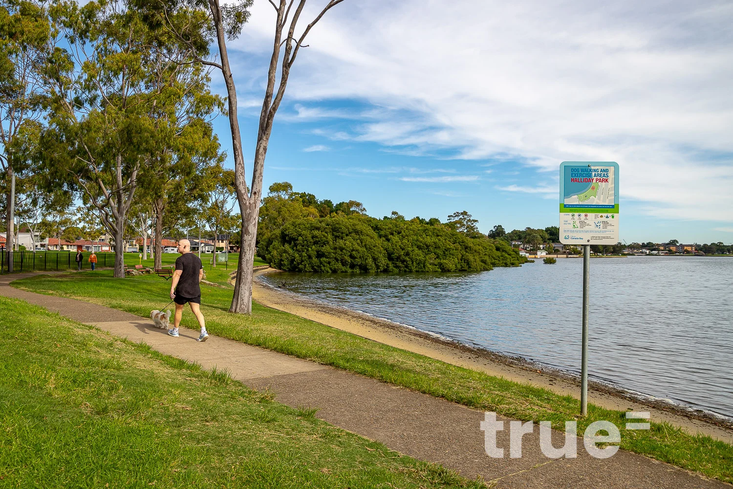 Additional image 14 of 8 Cecil Street, Wareemba NSW 2046
