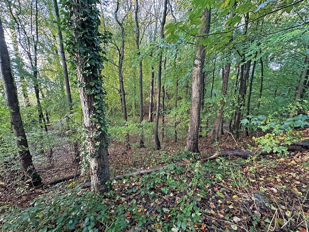 Additional image 2 of Land for saleWigan Road, Leyland PR25