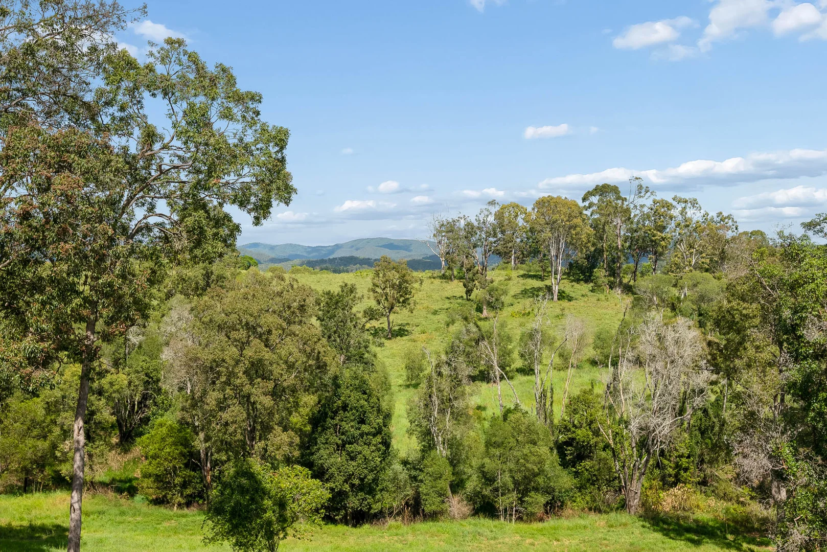 65A Mount Pleasant Road, Mount Pleasant QLD 4521 photo 2