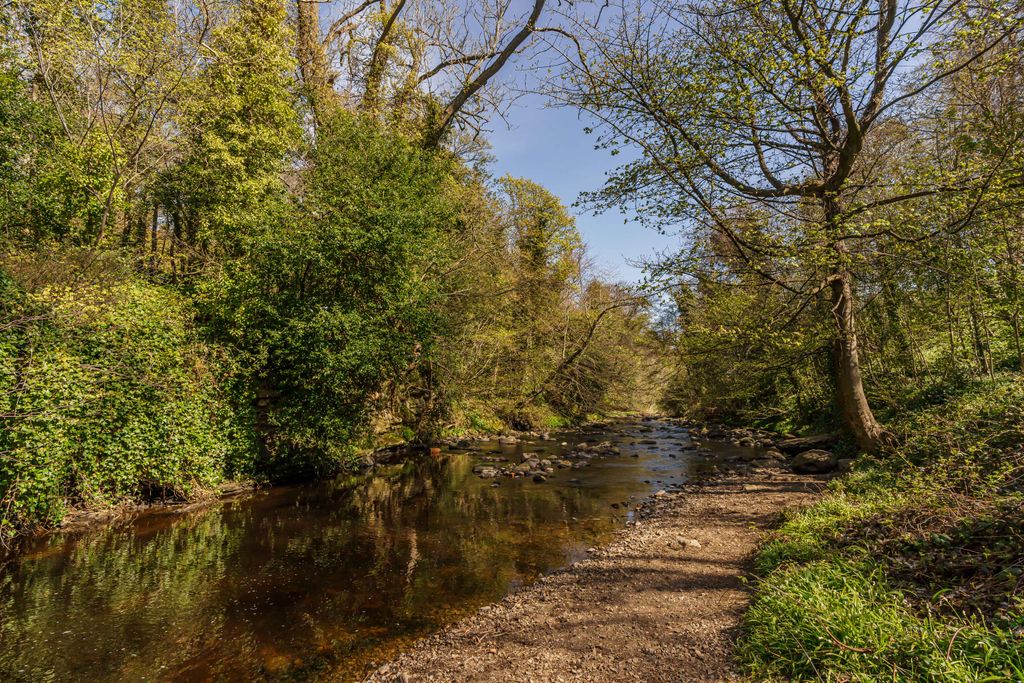 Additional image 12 of 1 bed flat for sale50 1F1 Spylaw Street, Edinburgh EH13