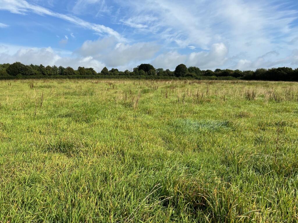 Bayford, Wincanton, Somerset, BA9 photo 3