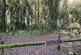Additional image 18 of Coed Ffordd Pererin, Llanybri SA33