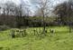 Additional image 7 of TAVISTOCK PL19