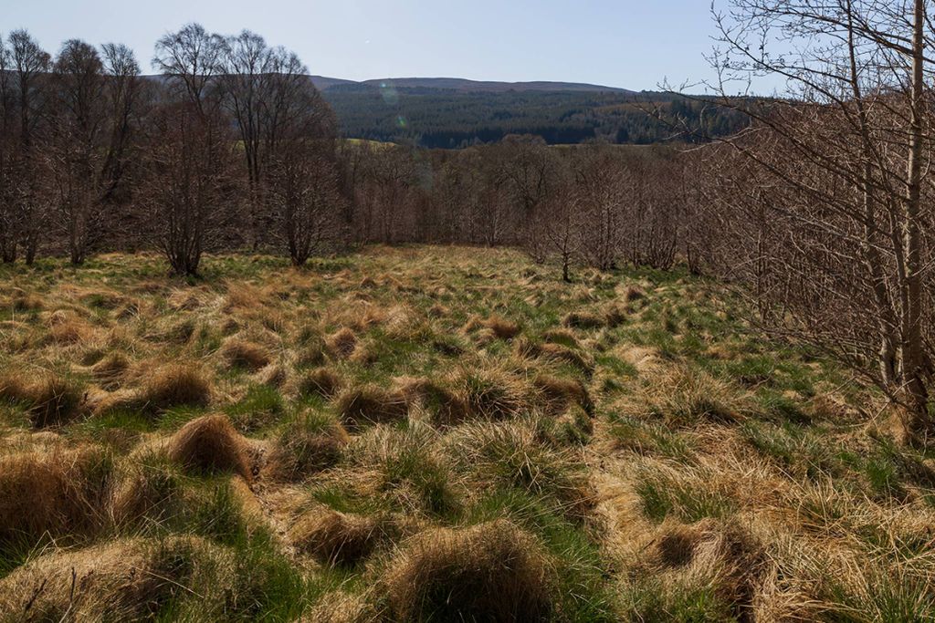 Additional image 8 of Land for sale95M West Of Eastwood, Balnain, Drumnadrochit IV63