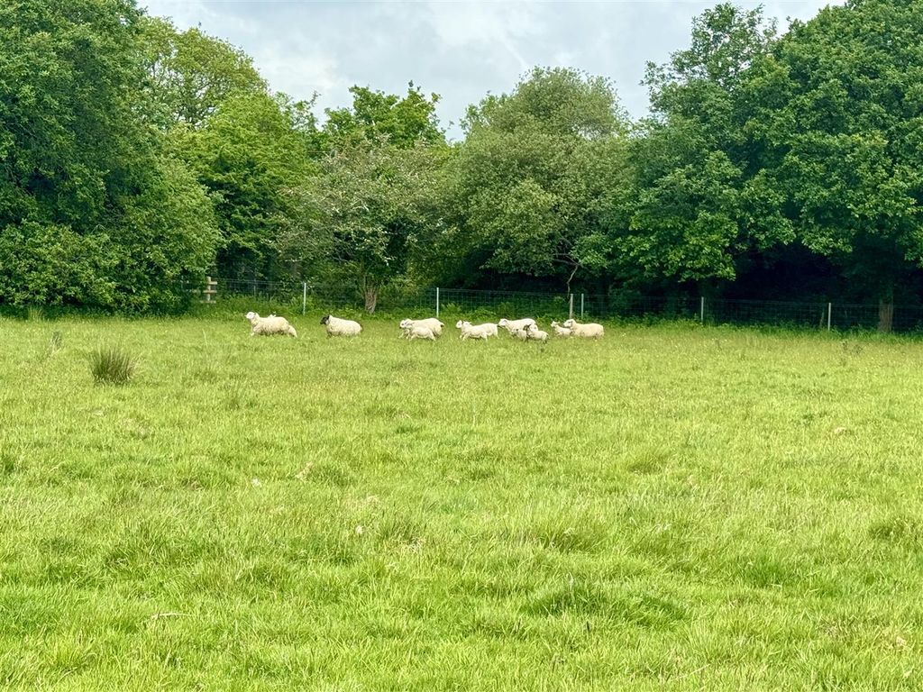 Additional image 2 of Land for saleTalyclun, Llangennech SA14