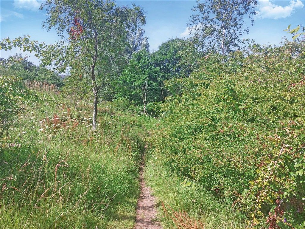 Additional image 3 of Land for saleBury Road, Rawtenstall, Rossendale BB4
