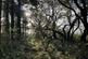 Additional image 9 of Coed Ffordd Pererin, Llanybri SA33
