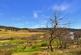 Additional image 45 of Sheean, Kilmichael Glen, by Lochgilphead, Argyll