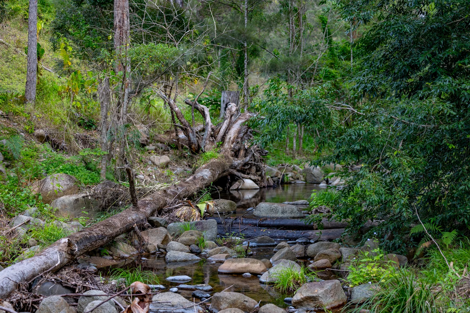 Additional image 38 of 196 Broken Bridge Road, Conondale QLD 4552