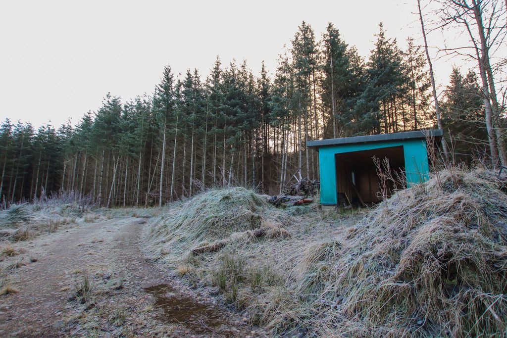 Additional image 4 of Land for saleGrange, Keith AB55