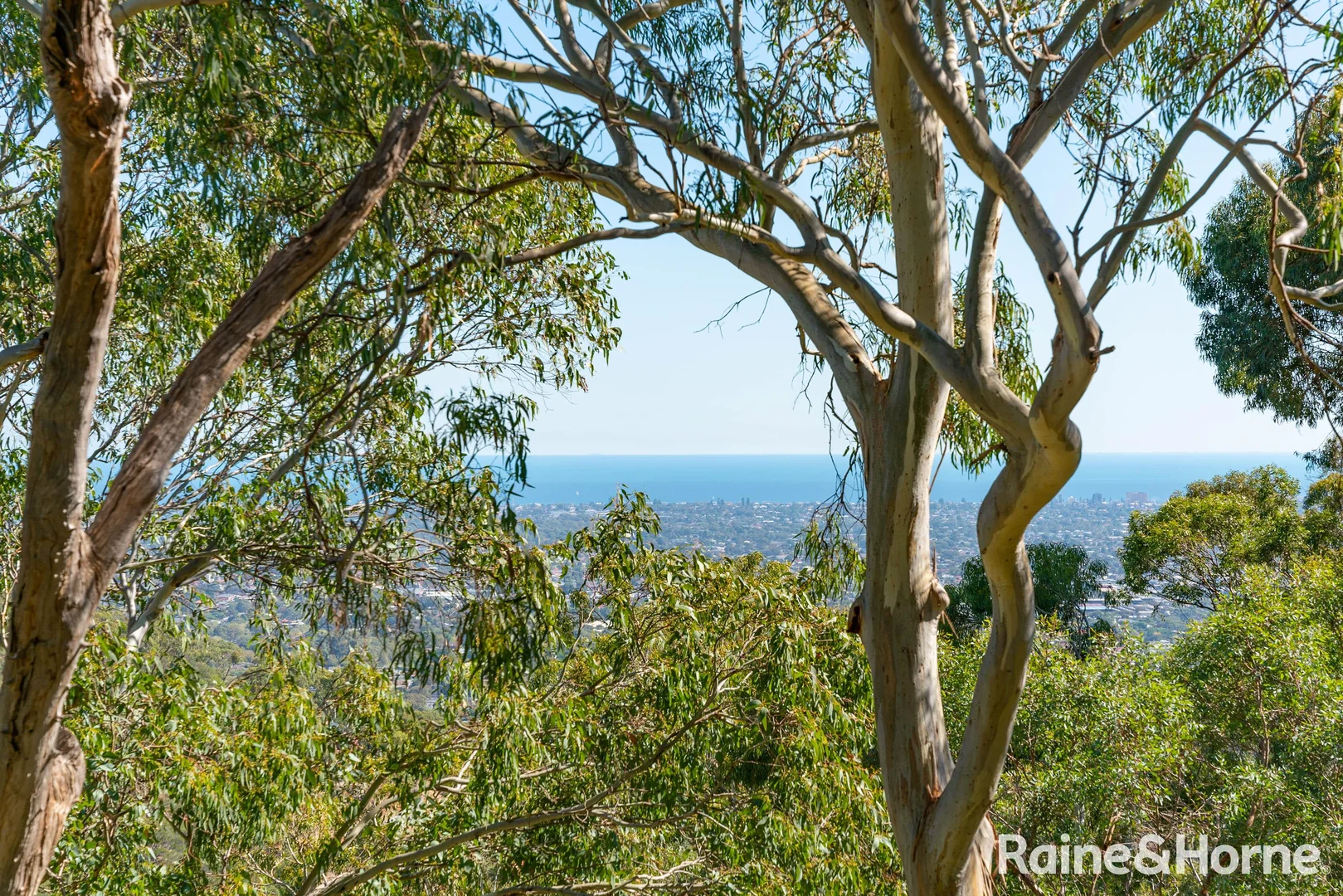 Additional image 14 of 19 Centre Way, Belair SA 5052