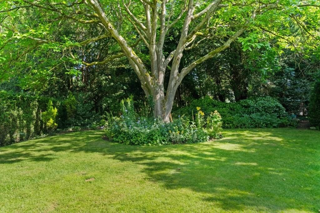 Additional image 17 of 2 bed flat for salePixham Lane, Dorking RH4