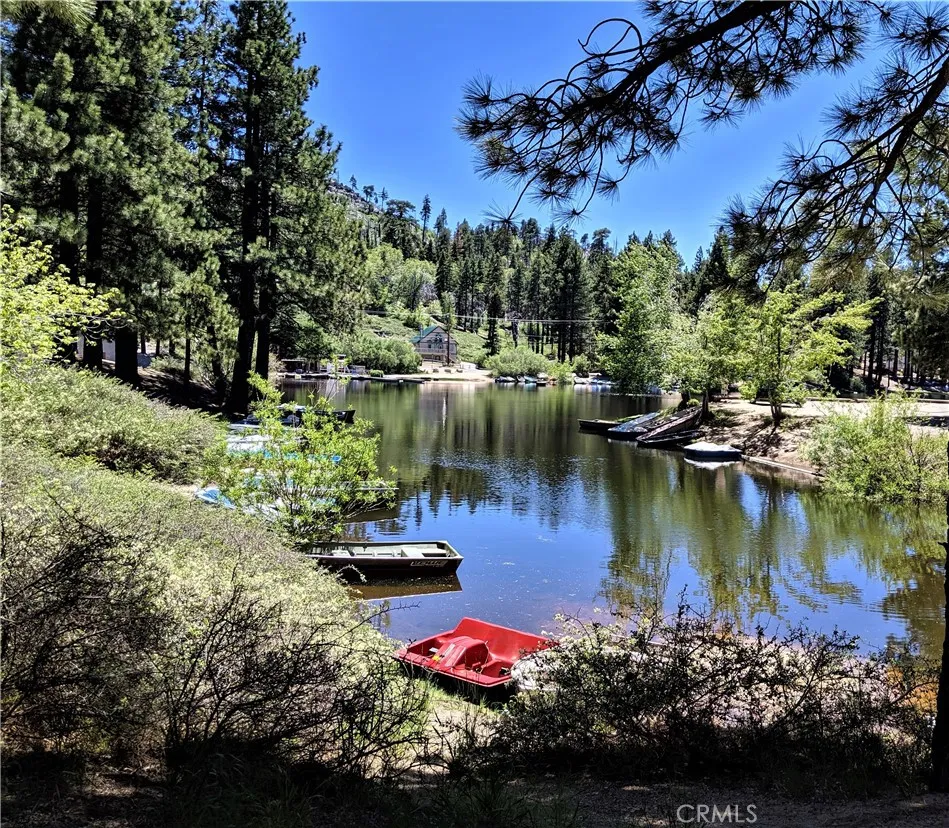 Additional image 50 of 33459 Wild Cherry Dr, Green Valley Lake, CA 92341
