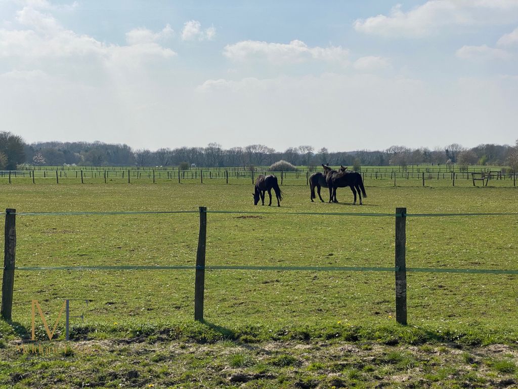 Additional image 14 of Land for salePlot C, Round Street, Cobham, Kent DA13
