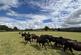 Additional image 4 of Llanwnnen, Lampeter , Ceredigion, SA48