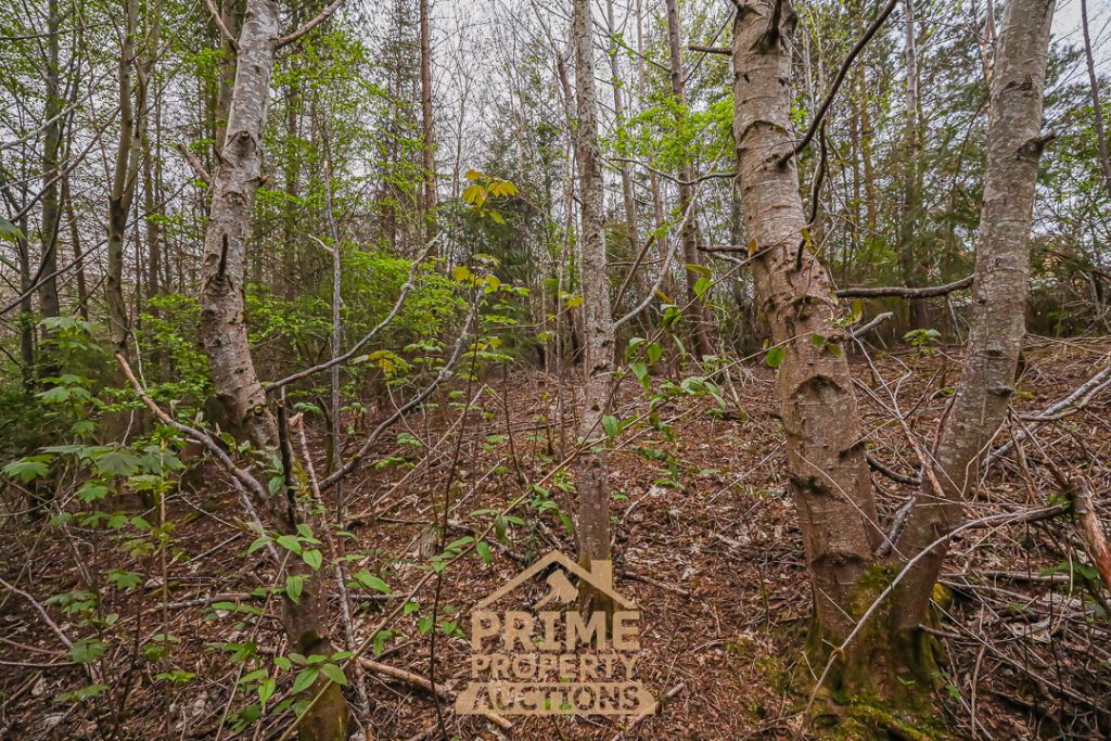 Additional image 11 of Land for salePlot At Moray Park Gardens, Inverness IV2