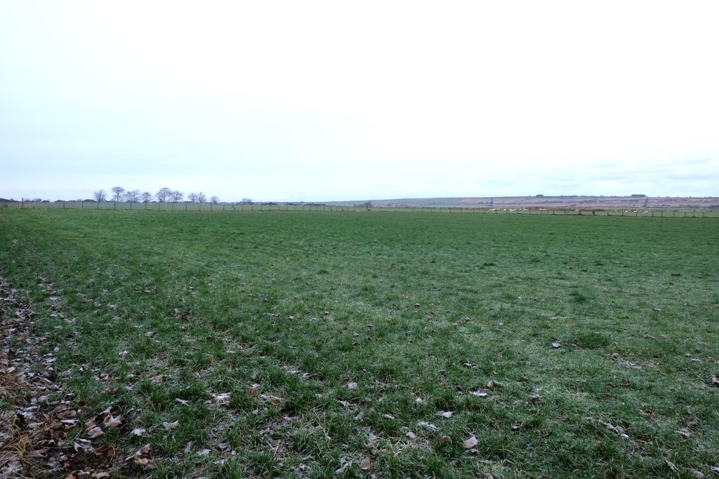 Land for saleWatten Development, Watten. KW1 photo 2